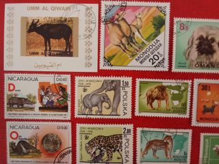 Lote 22 sellos fauna mamíferos