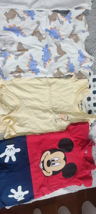 Lote Ropa Bebé ( 3-6 Meses ) en buen estado