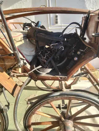 Carro de caballos de paseo de madera