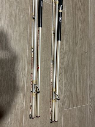 2 Cañas Surfcasting Kali  Blue Line Hibrida 4,2m