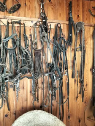 Juego de cabezadas para caballos