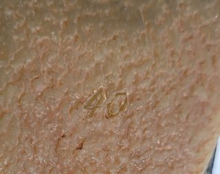 Zapato tacón negro talla 40