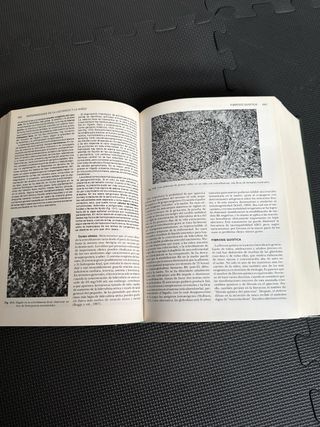 Patologia Estructural Y Funcional