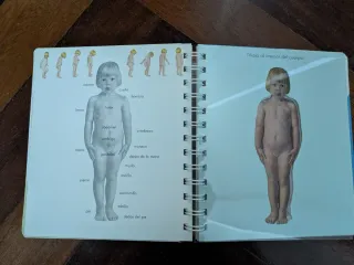 El cuerpo (Mundo maravilloso) (Spanish Edition)