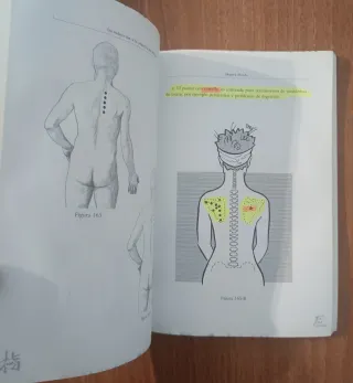 Introducción a la práctica del Shiatsu