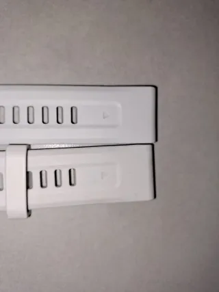 Correa Garmin QuickFit 20 Blanca