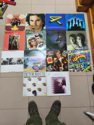 Lote Vinilos Varios Géneros