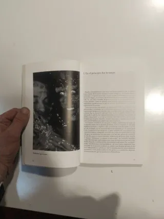 Sangre, sudor y vísceras. Historia del cine Gore