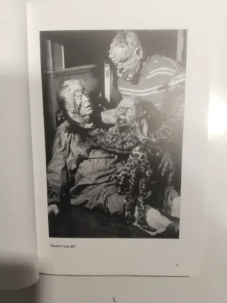 Sangre, sudor y vísceras. Historia del cine Gore