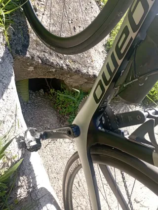 Megamo Pulse Elite 10