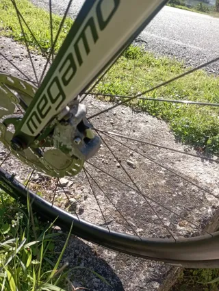 Megamo Pulse Elite 10