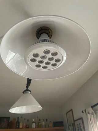 Bombilla LED E27 36W PAR38 Hidropónico