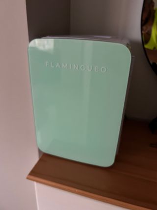 Mini nevera portátil