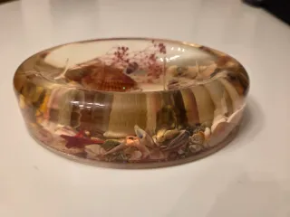 Porta saponetta in plastica con conchiglie