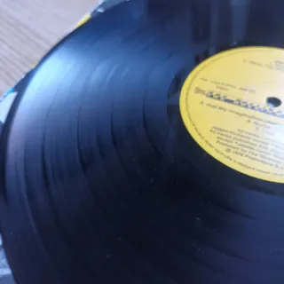 LP 1978 Vinilo The Rolling Stones - Some Girls