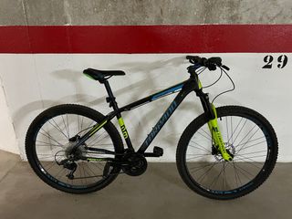 Bicicleta Torpedo Negra y Verde