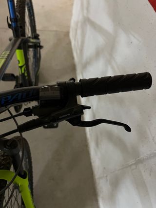 Bicicleta Torpedo Negra y Verde