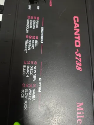 Teclado Electrónico Canto 3738 Miles