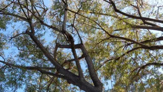 Buscar arquitecto tecnico