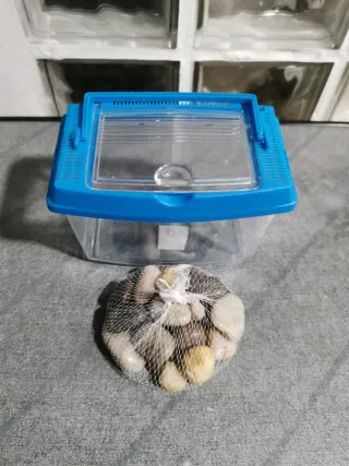 Pecera pequeña con tapa y piedras