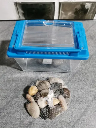 Pecera pequeña con tapa y piedras