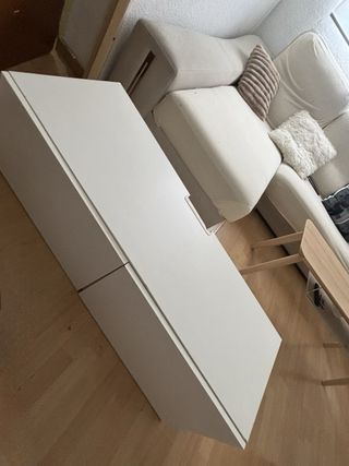 Mueble Besta Ikea 2 puertas