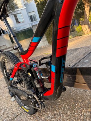 GIANT REING 1.5 LTD TALLA S