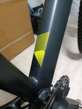 Bicicleta de Montaña Gris