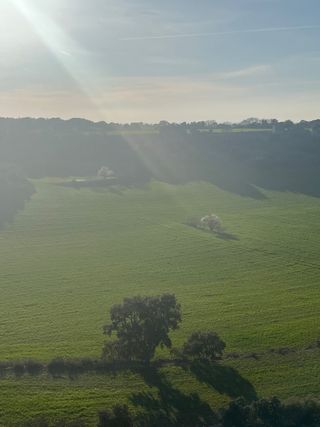 Terreno rústico para cultivo EL TALLADELL