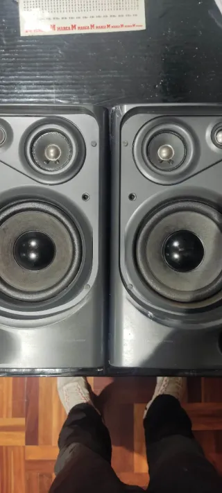 Altavoces Aiwa Estéreo Negros y Grises