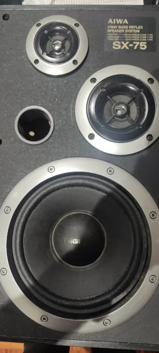 Altavoces Aiwa Estéreo Negros y Grises