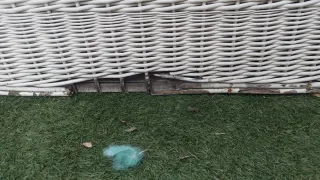 OFFERTA Set Esterno in Vimini Bianco