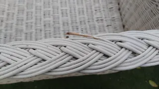 OFFERTA Set Esterno in Vimini Bianco