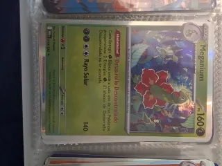 Lote Cartas Pokémon Ninjask y Shedinja