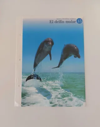 Fichas técnicas vintage de animales, 90s