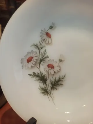 Plato Arcopal Vintage Flores France