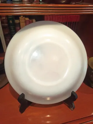 Plato Arcopal Vintage Flores France