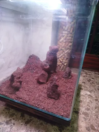 Acuario Rocas y Grava