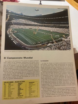 Libro campeonatos mundiales de futbol