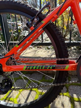 Bicicleta Qüer Jüngle 24” Juvenil