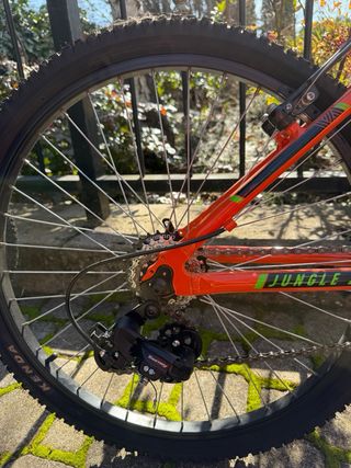 Bicicleta Qüer Jüngle 24” Juvenil