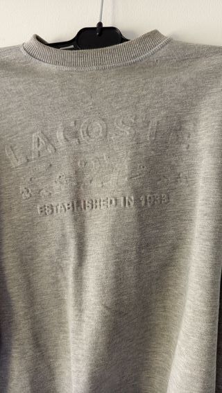 Jersey Lacoste Gris