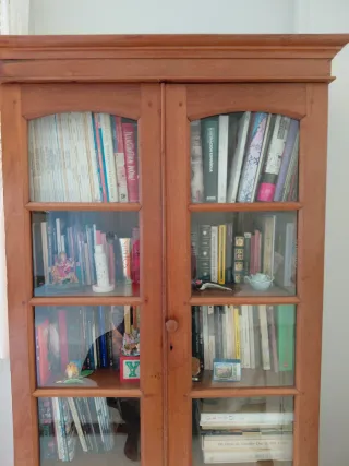 Vitrina antigua de madera y cristal