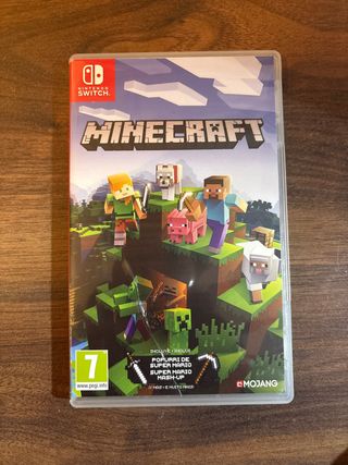 Minecraft Nintendo Switch