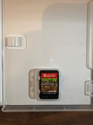 Minecraft Nintendo Switch