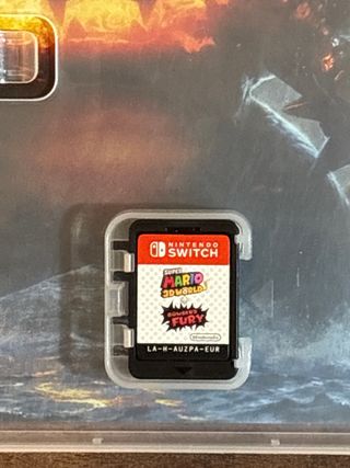Super Mario 3D World + Bowser's Fury Switch