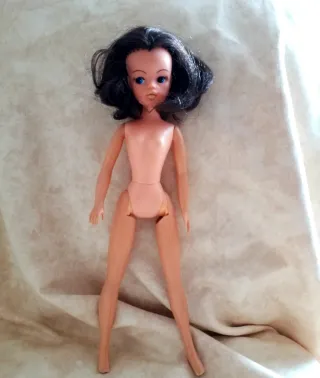 Muñeca Sindy Pedigree