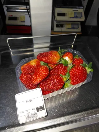 Bilancia commerciale DIBAL CS 1100 15" e 15"