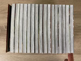 The Ancient Magus Bride