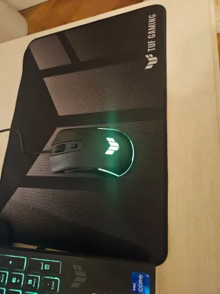 ASUS TUF Gaming F16 FX607JU-N3090W